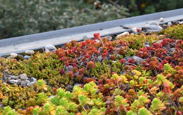 the cost of Ightfield Heath green roof installation